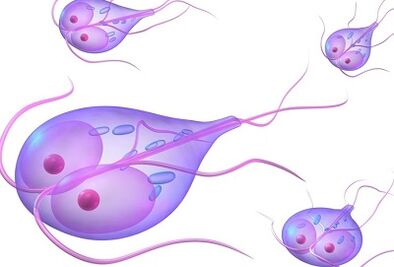 Tipos de parasitos no corpo humano